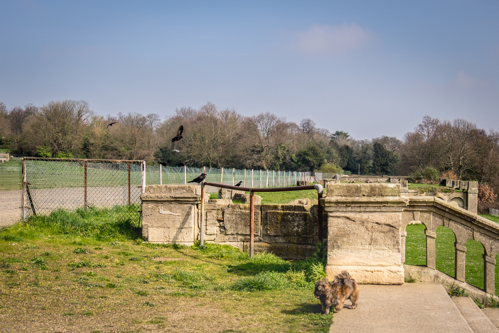 20170327_Bromley_Crystal-Palace-Park_old-racing-circuit