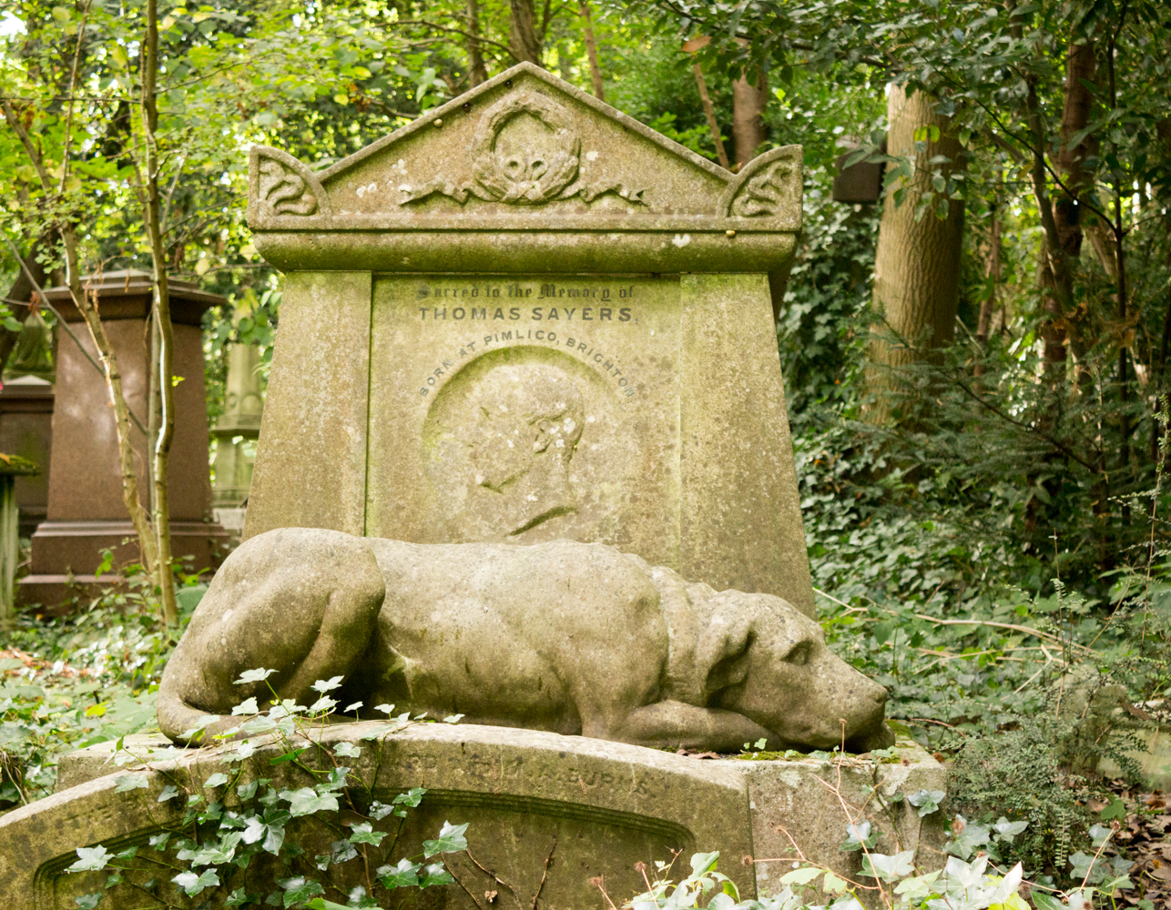 Fighter's Grave