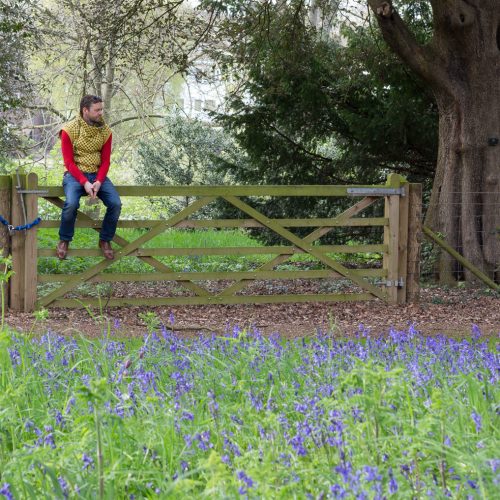 Luke and the Bluebell Field