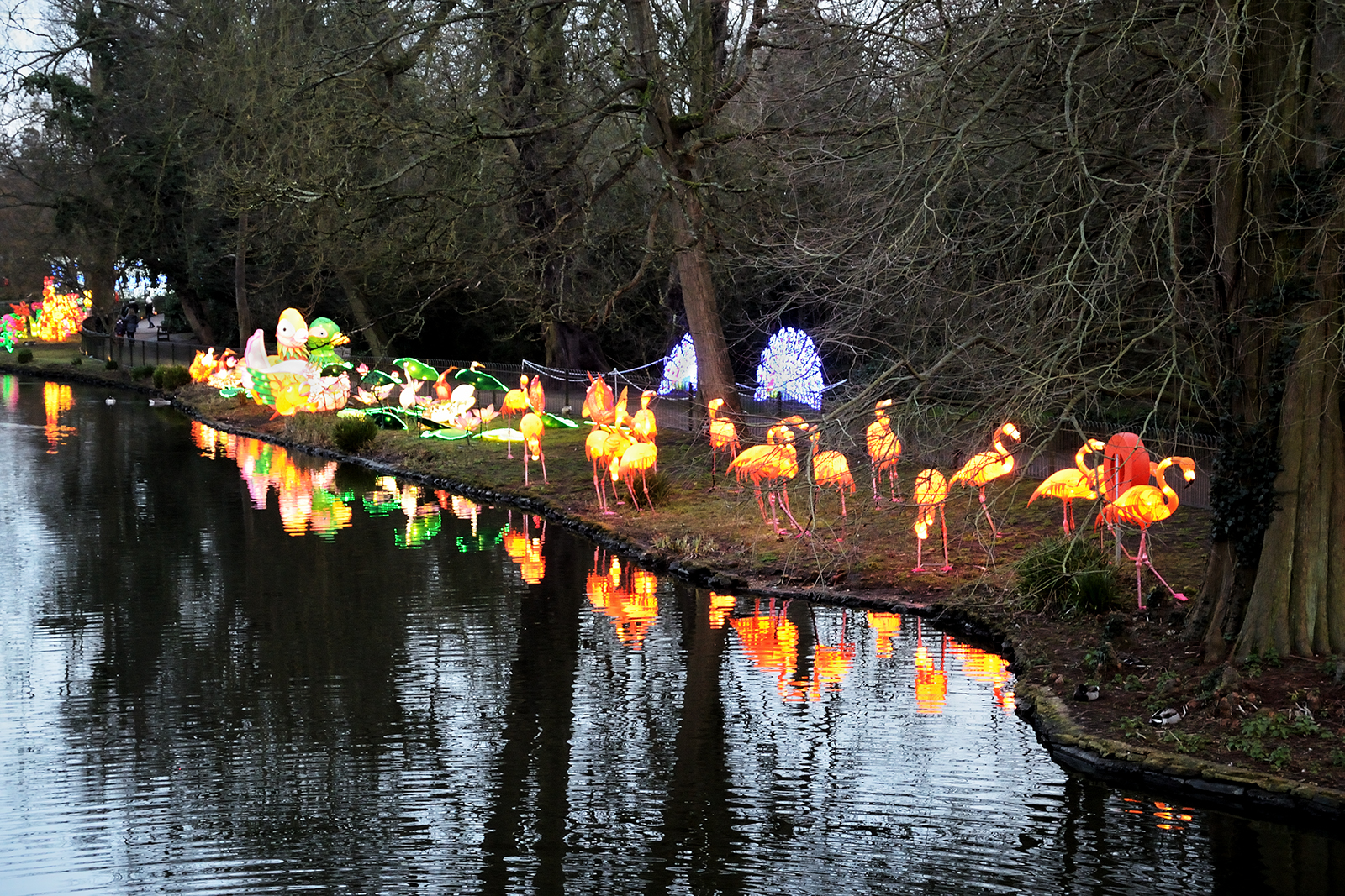 20160303_Hounslow_Burlington-Lane_Bright-creatures-in-the-garden