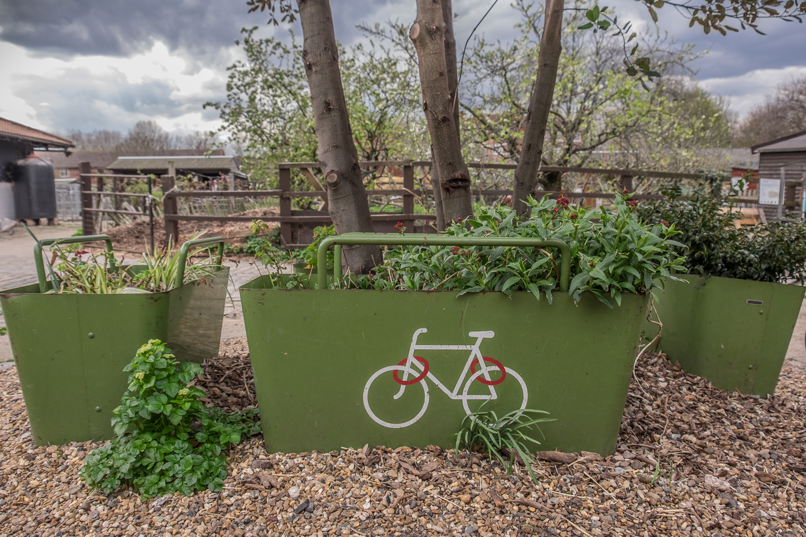 20160413_Southwark_Surrey-Docks-Farm_Lets-Cycle