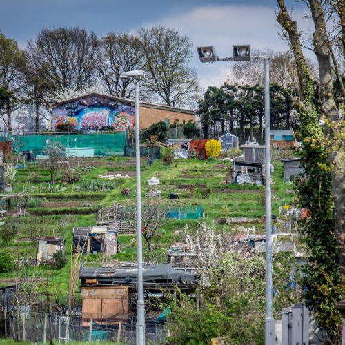 20160414_Lambeth_Tulse-Hill_Allotments-by-the-station