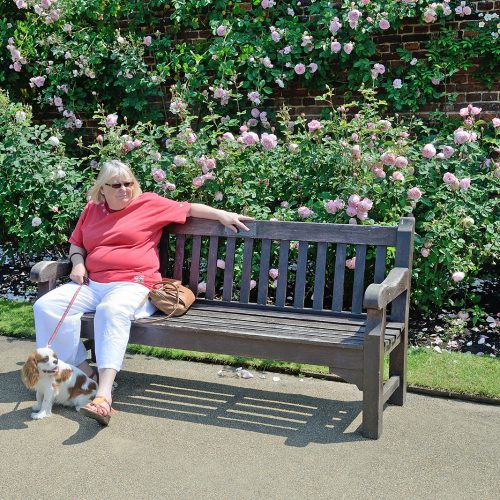 2016069_Richmond_Hampton-Court-Gardens_Enjoying-a-sunny-day-in-the-Rose-Garden