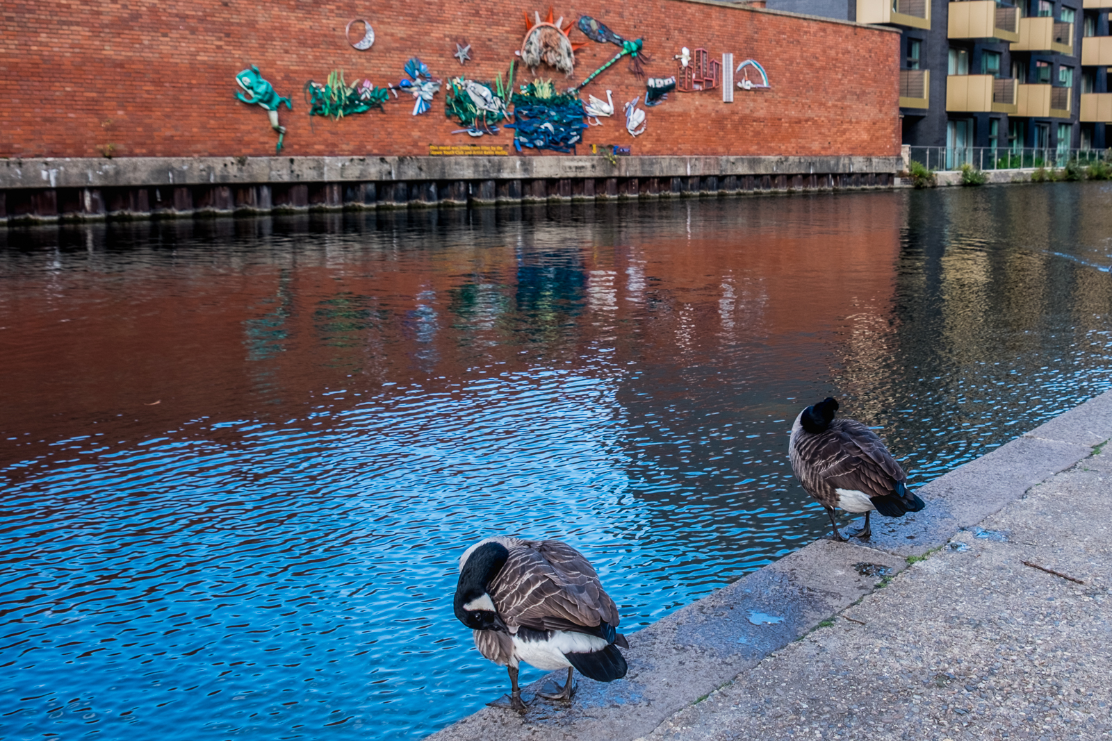20161018_Westminster_Grand-Union-Canal-Maida-Vale_Open-Air-Gallery-for-Geese
