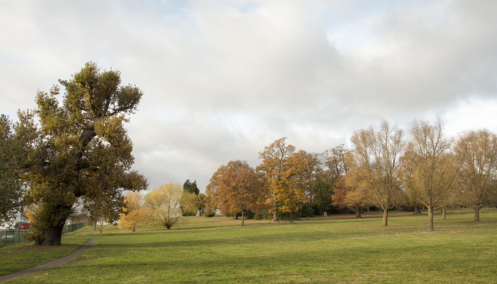 20161124_Croydon_Norwood-Grove-Recreation-Ground_Landscape_Winter_Late-Autumn-colours