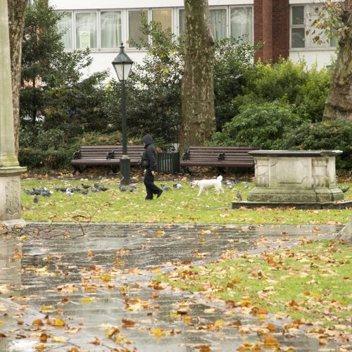 20161212_Kensington-and-Chelsea_Doverhouise-Green_People_Winter_Dog-and-owner-on-a-very-wet-day