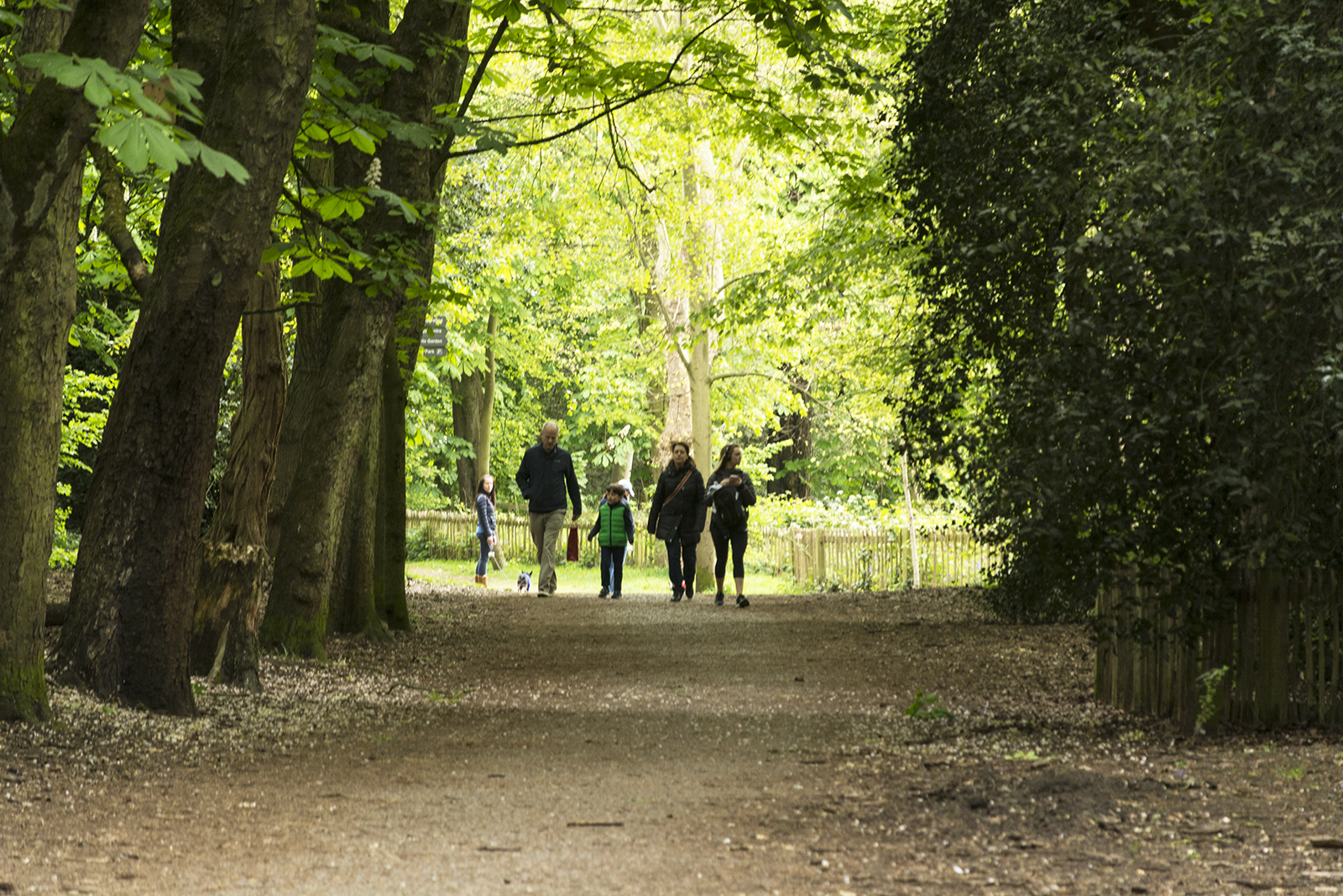 2017-04-17-Kensington-and-Chelsea_Spring_Landscape_Holland-Park-Walk-in-the-Park