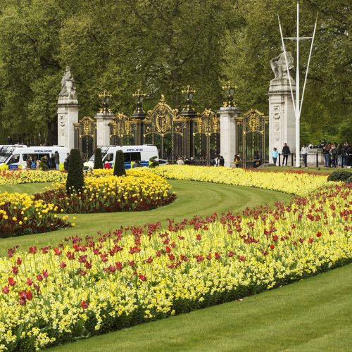 2017-04-17-Westminster_Spring_Flora_Landscape-Buckingham-Palace-2