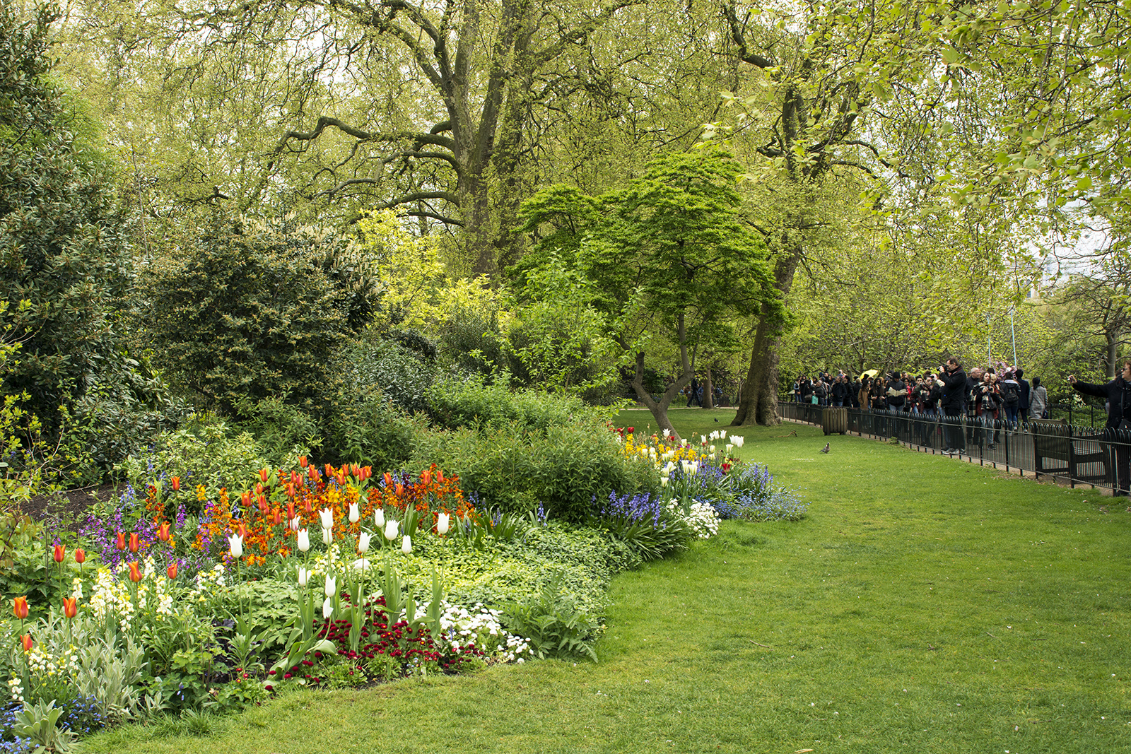 2017-04-17-Westminster_Spring_Flora_Landscape-St-Jamess-Park-Flower-Beds-2