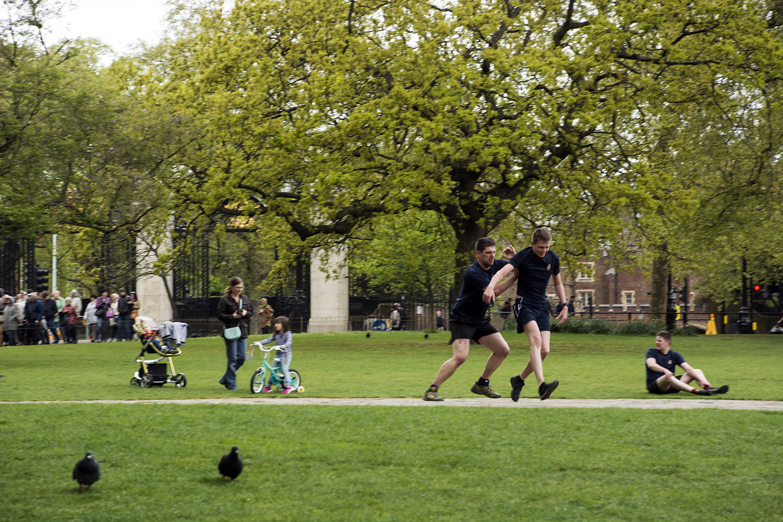 2017-04-17-Westminster_St-Jamess-Park_People_Spring-Two-pidgeons