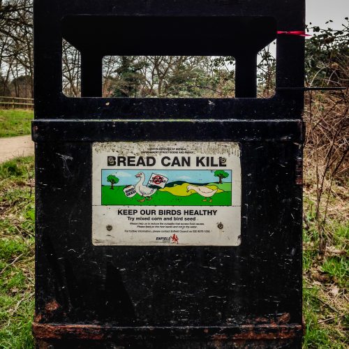 20170301_Enfield_Forty-Hall_Bread-Can-Kill
