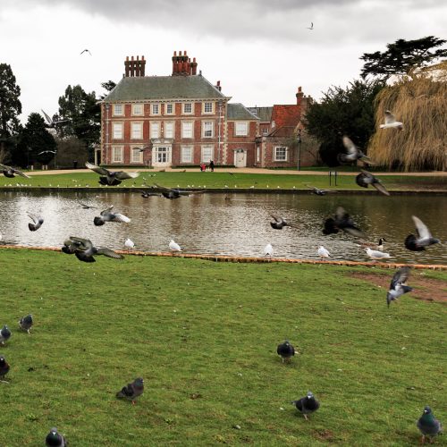 20170301_Enfield_Forty-Hall_The-Birds-Pond