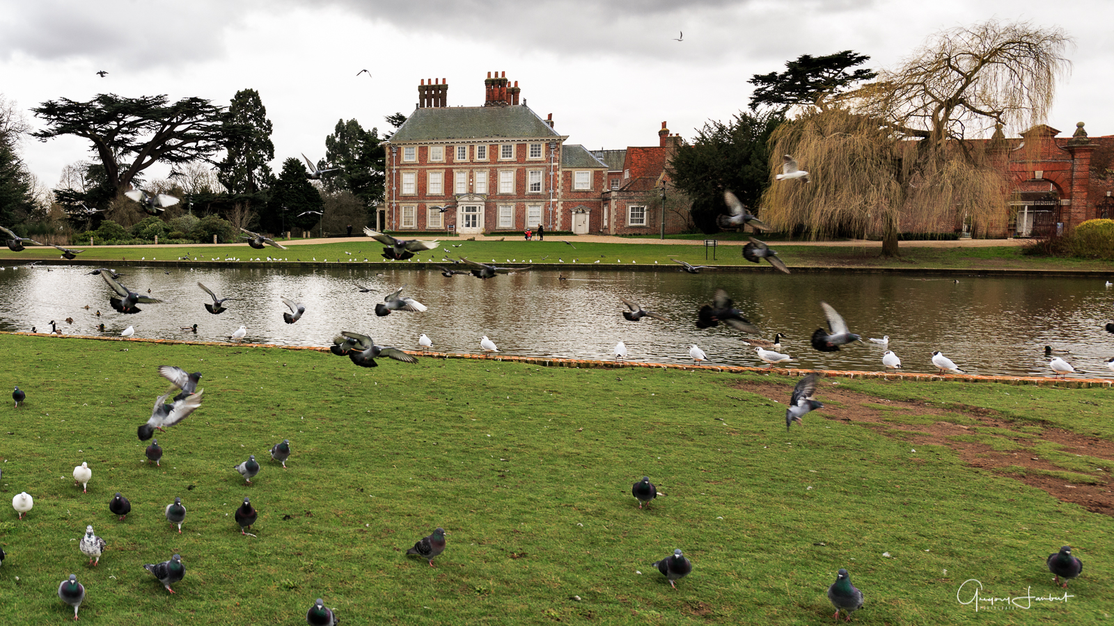 20170301_Enfield_Forty-Hall_The-Birds-Pond