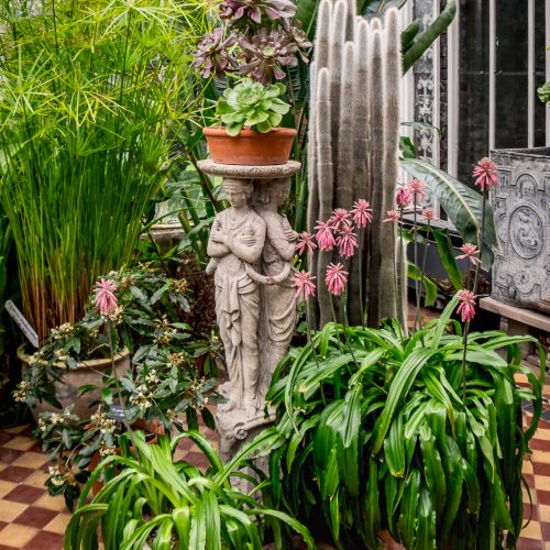 20170301_Enfield_Myddelton-House-Gardens_Hothouse