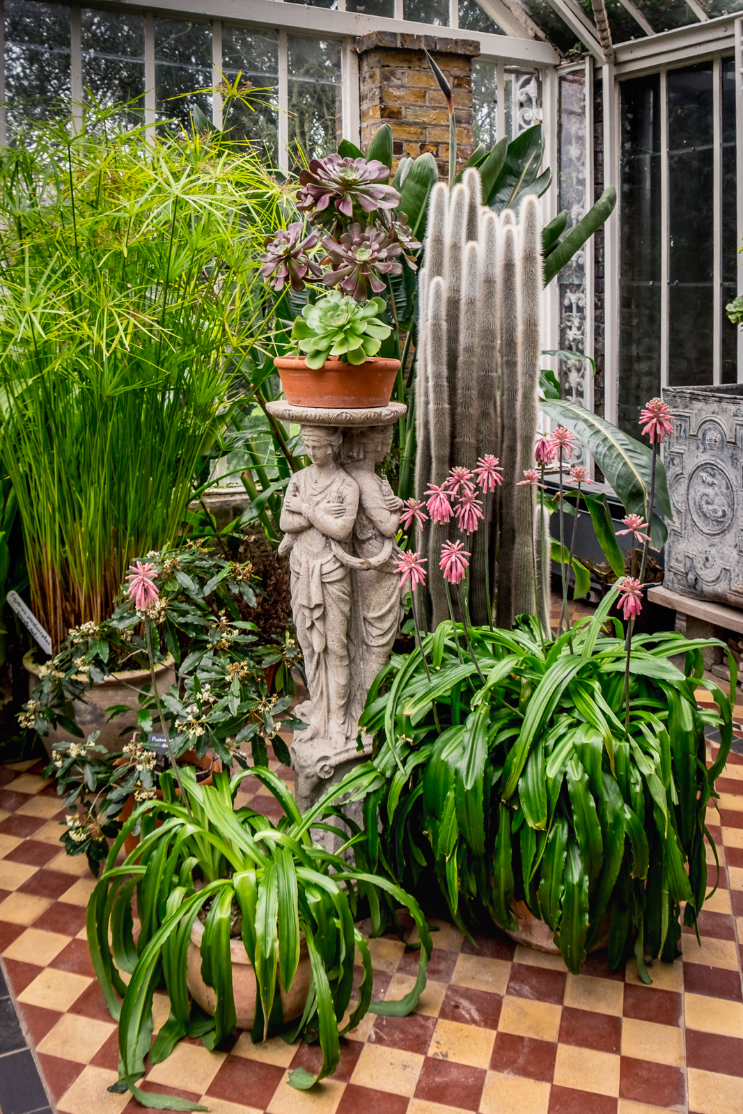 20170301_Enfield_Myddelton-House-Gardens_Hothouse