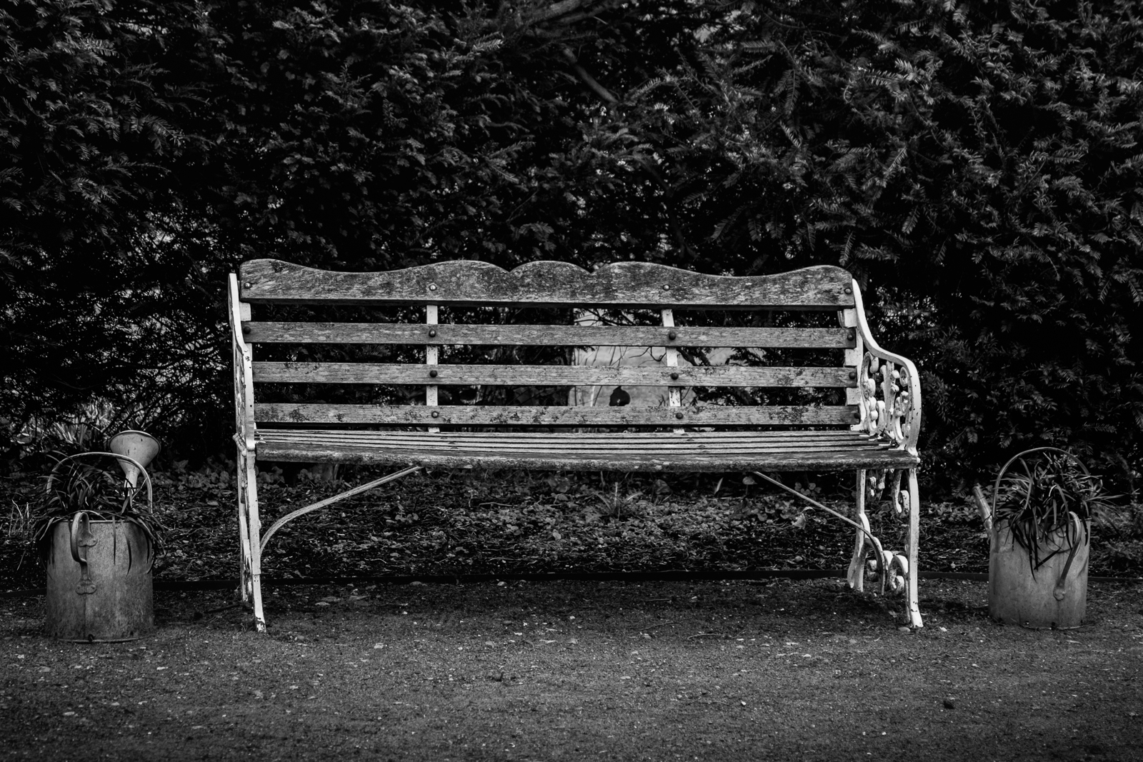 20170301_Enfield_Myddelton-House-Gardens_The-Bench