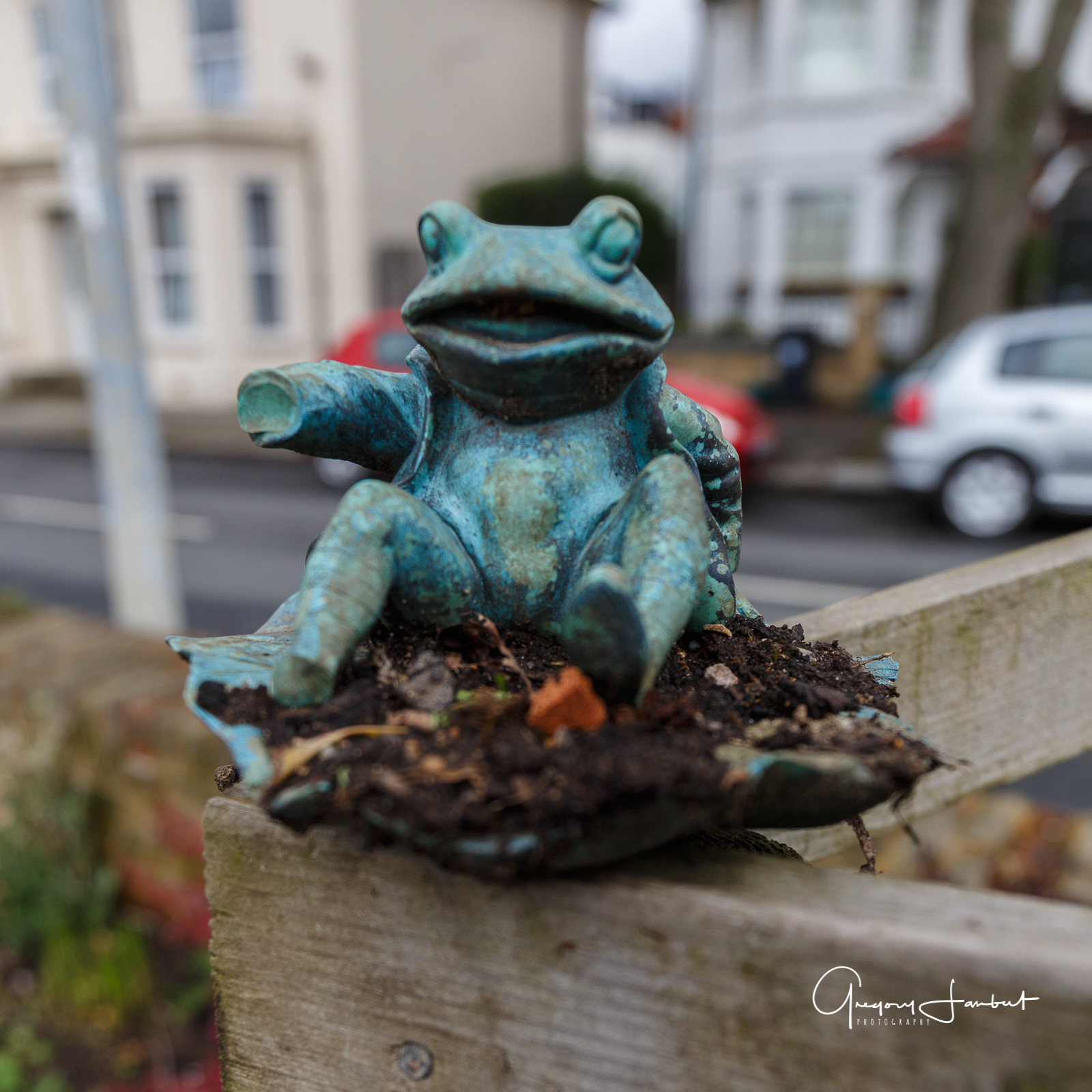 20170308_Hounslow_Strand-on-the-Green_Sitting-Frog