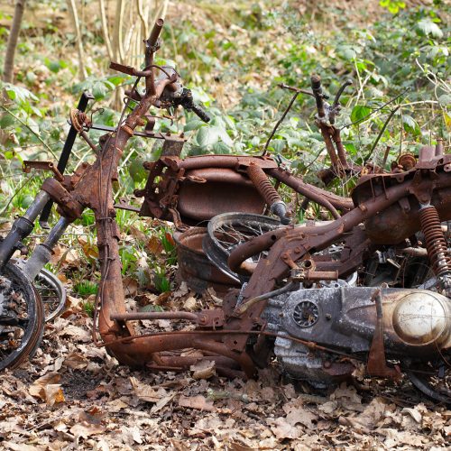 20170309_Croydon_Birch-Wood_Rust-in-pieces