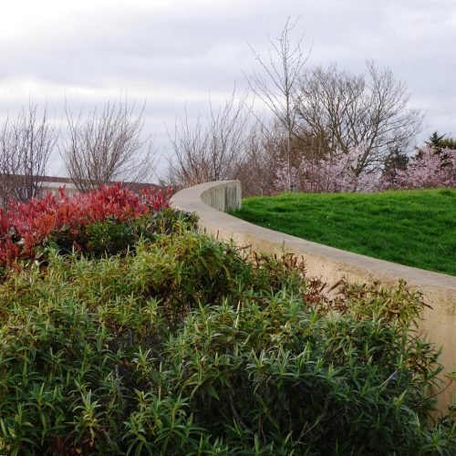 20170313_Newham_Memorial-Recreation-Ground_Shrubs-on-the-hill