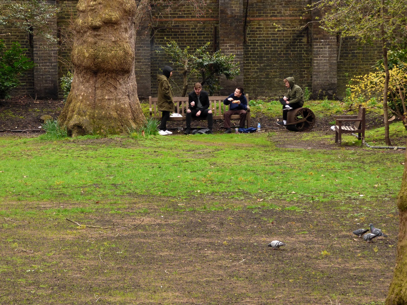 20170323_Camden_Malet-Street-Gardens_Hanging-out-at-Malet-Street-Gardens