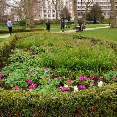 20170323_Camden_Russell-Square_Flower-Beds-at-Russell-Square