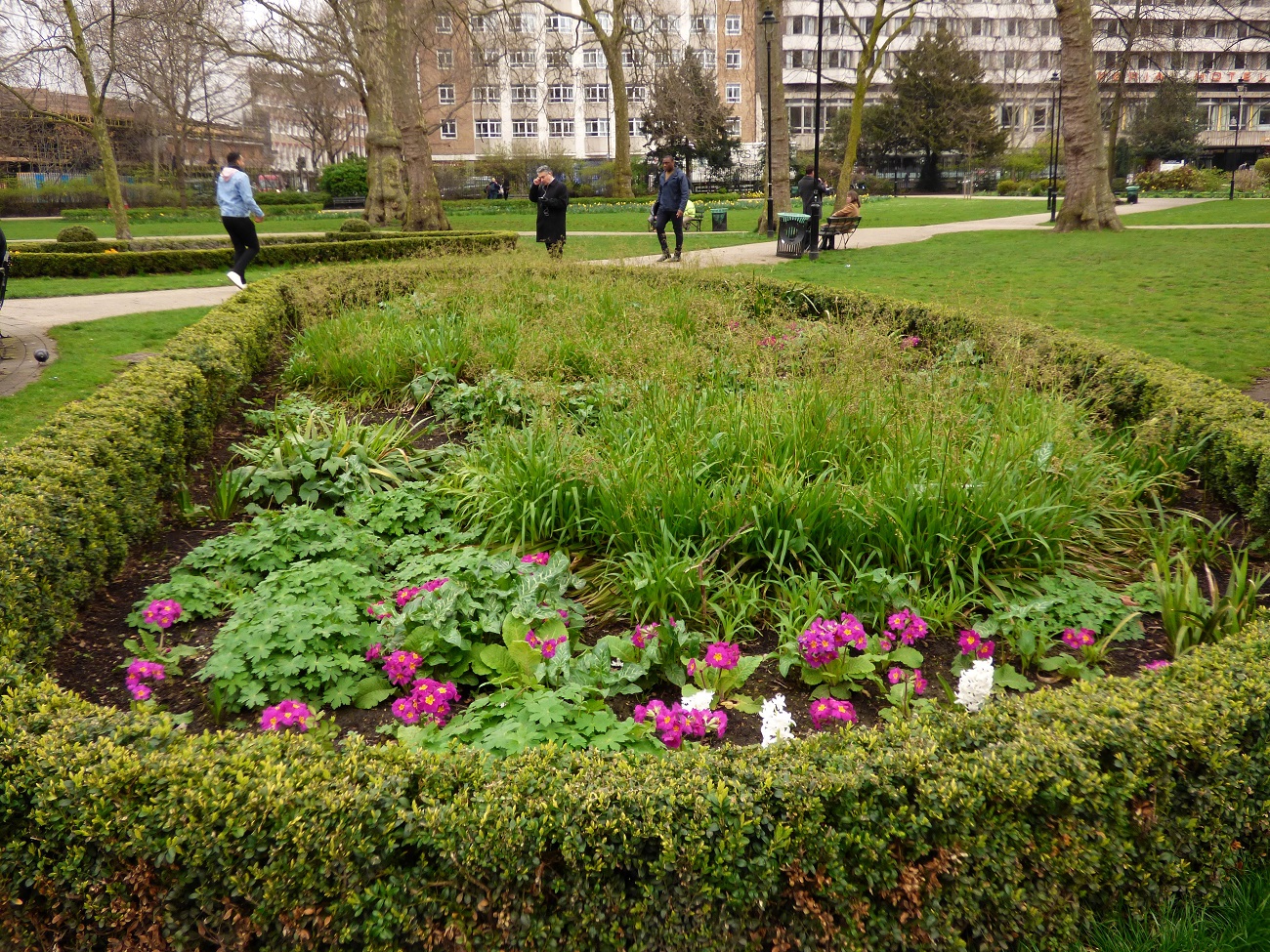 20170323_Camden_Russell-Square_Flower-Beds-at-Russell-Square