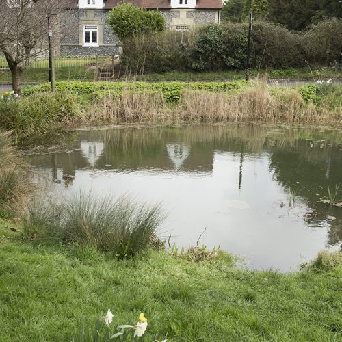 20170323_Croydon_Wattenden-Pond_Landscape_Winter_Cottage-refelection-in-pond