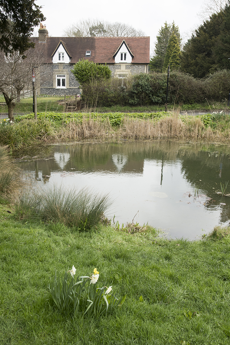 20170323_Croydon_Wattenden-Pond_Landscape_Winter_Cottage-refelection-in-pond