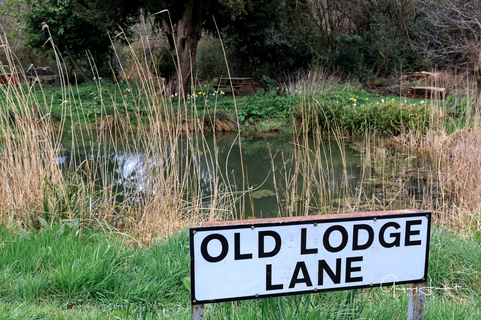 20170323_Croydon_Wattenden-Pond_Old-Lodge-Lane-Corner