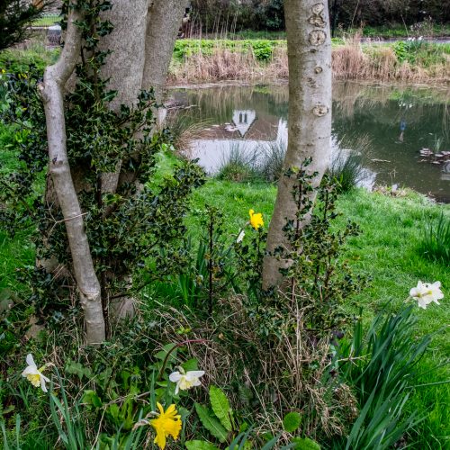 20170323_Croydon_Wattenden-Pond_The-View-from-Old-Lodge-Lane