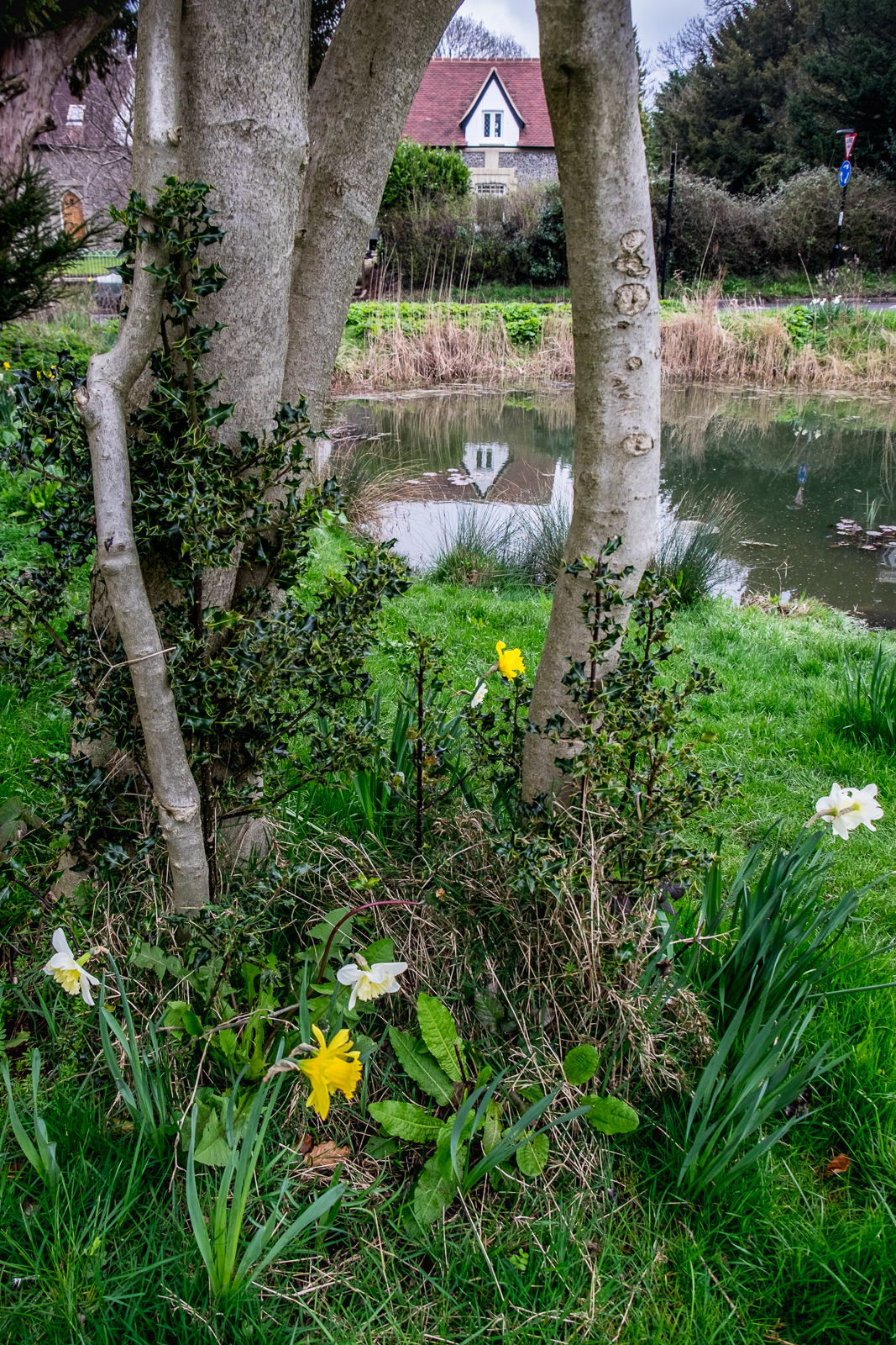 20170323_Croydon_Wattenden-Pond_The-View-from-Old-Lodge-Lane