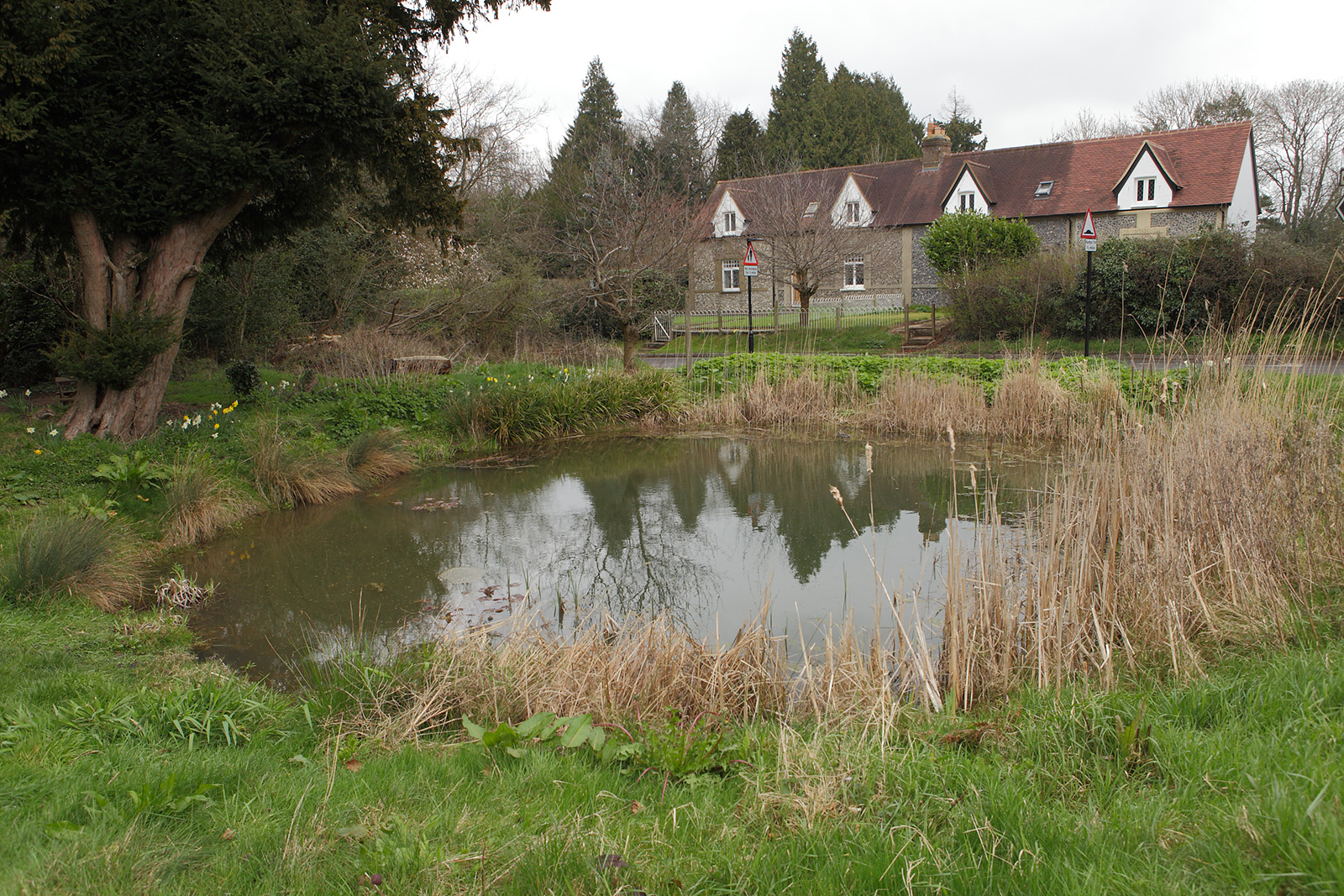 20170323_Croydon_Wattenden-Pond_View