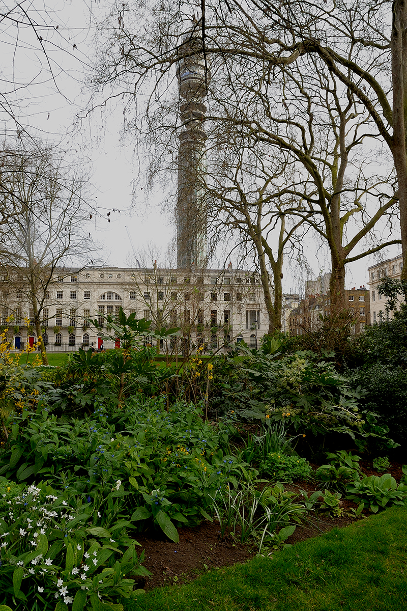 20170329_Camden_Fitzroy-Square_Gardens-with-BT-Tower-in-background
