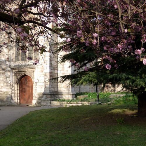20170403_Newham_West-Ham-Parich-Church_Blossom-in-the-foreground
