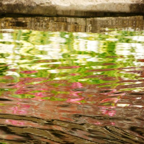 20170407_Westminster_Kensington-Palace-Memorial-Garden_A-reflective-day