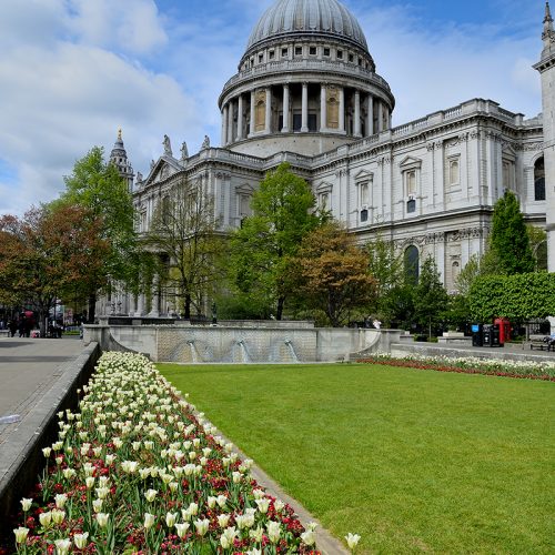 20170416_City-of-London_New-Change_Tulips-leading-to-St-Pauls
