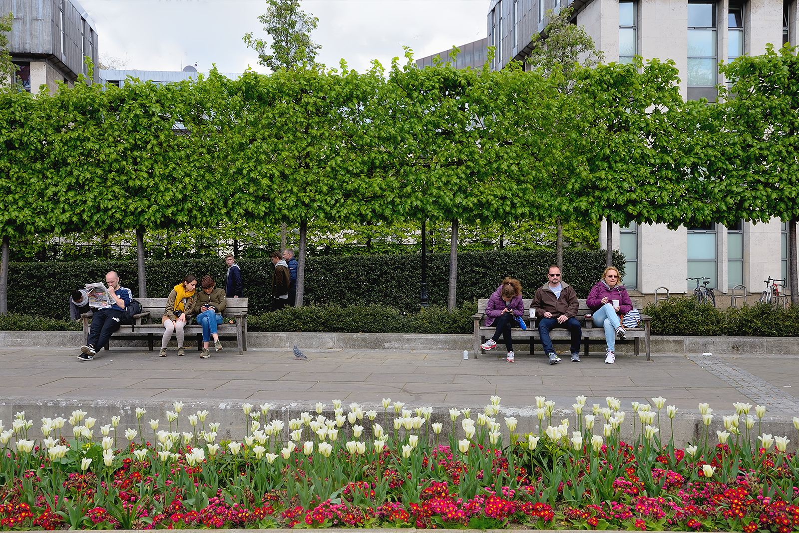 20170416_City-of-London_New-Grange_People-and-flowers-in-Jubilee-gardens