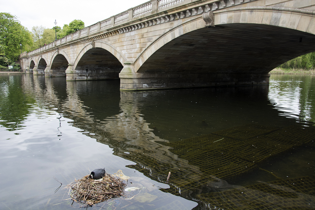 20170417_Westminster_-Hyde-Park-_The-bridge-seen-from-the-Serpentine