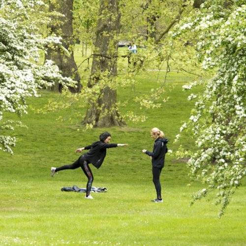20170417_Westminster_Green-Park_People_-Spring_People_Stretching-under-Trainers-supervision
