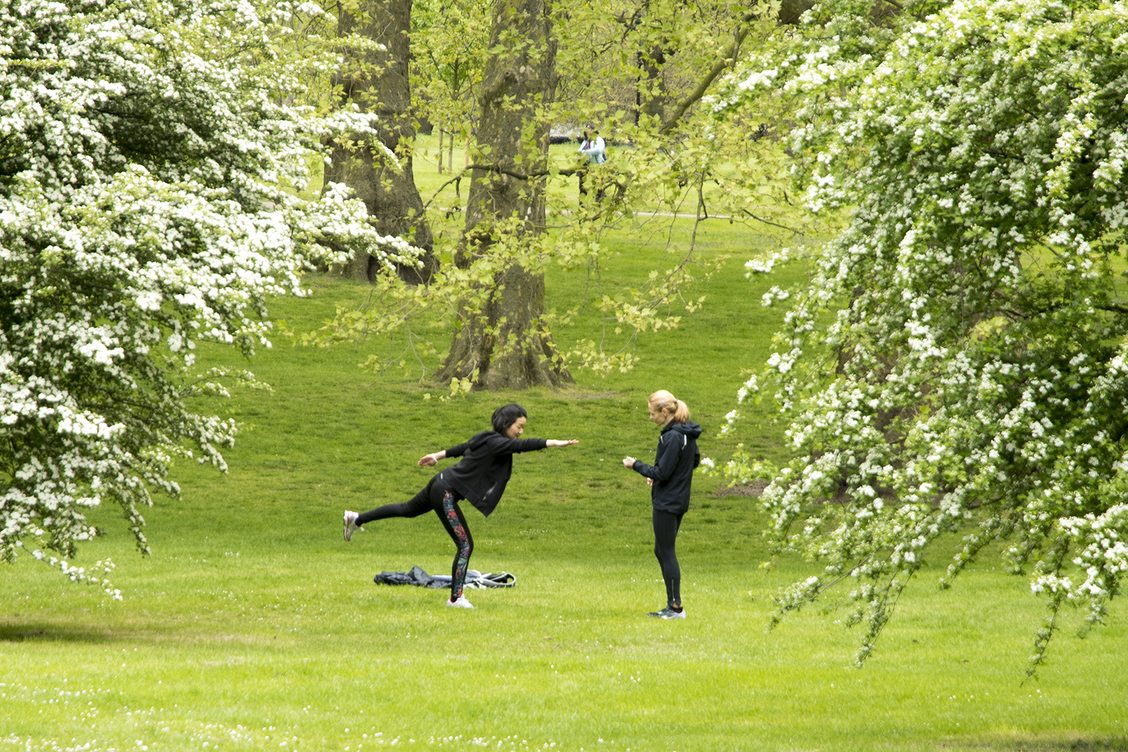 20170417_Westminster_Green-Park_People_-Spring_People_Stretching-under-Trainers-supervision