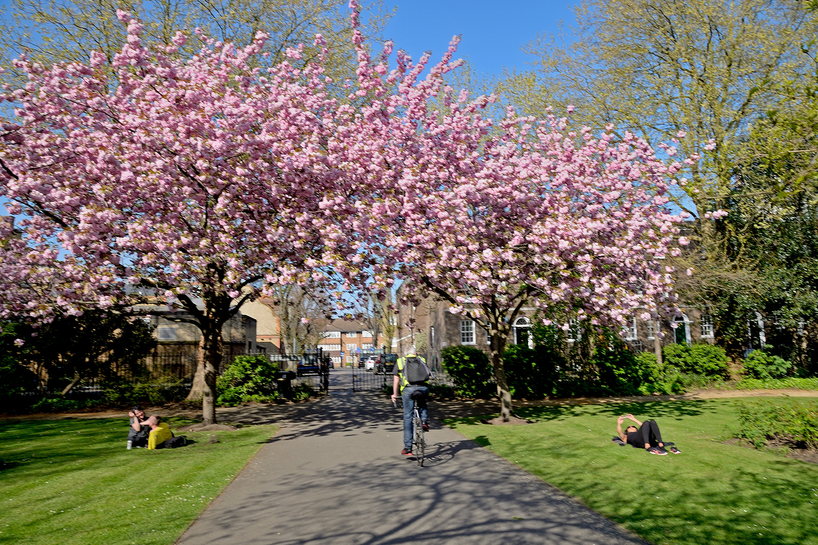 2017048_Southwark_West-Square_The-joy-of-Spring