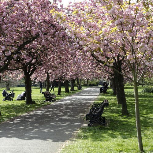 Greenwich-Park