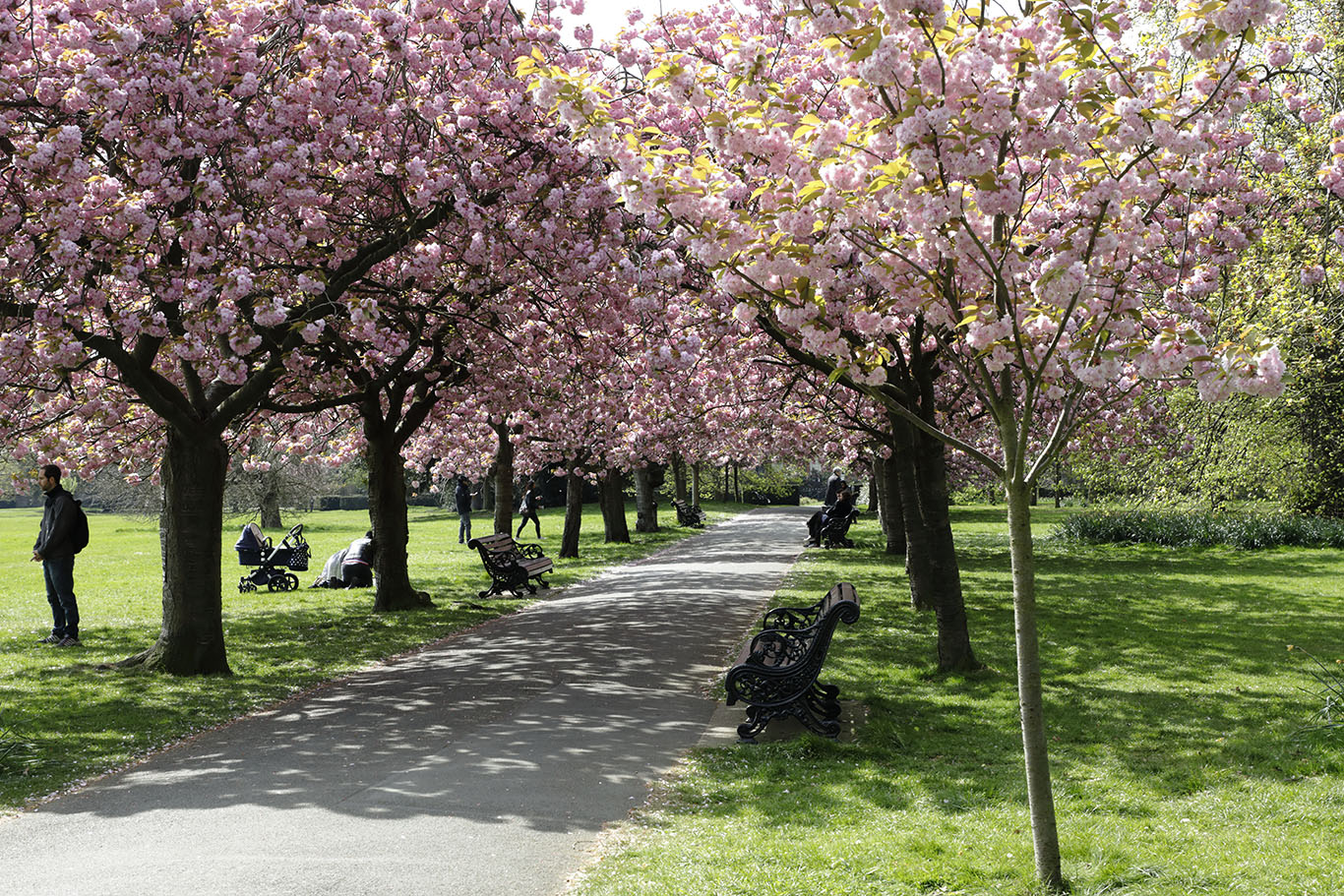 Greenwich-Park